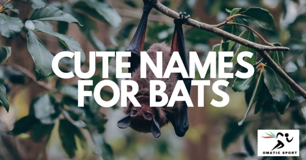 Cute Names for Bats